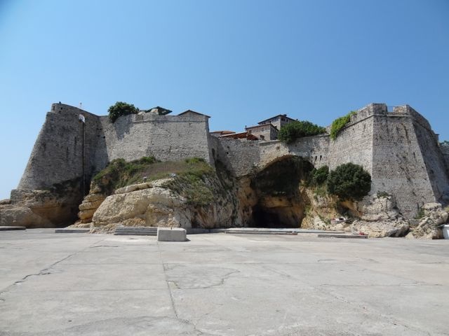 DSC07007