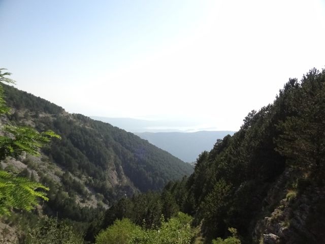 DSC07044