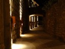 DSC07067