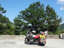 DSC07093