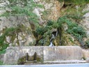 DSC07095