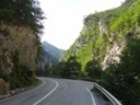 DSC07101