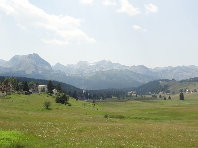 DSC07116