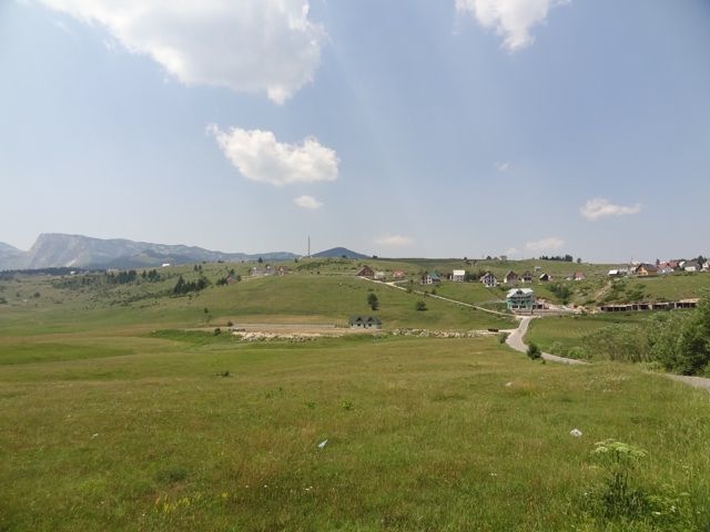 DSC07117