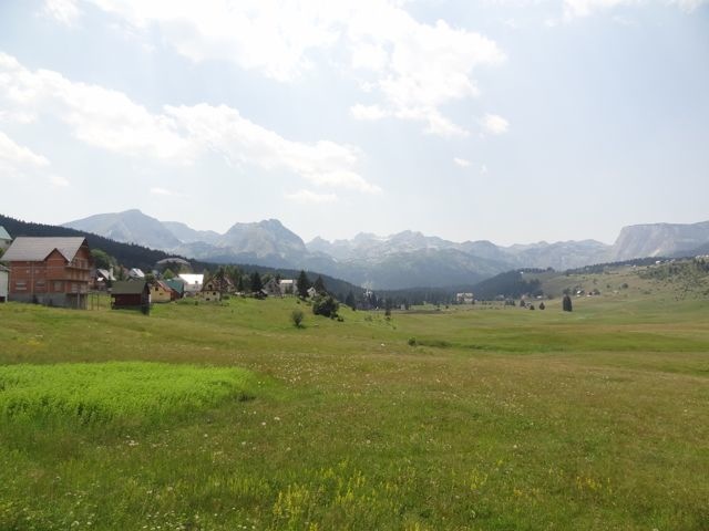 DSC07119