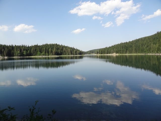 DSC07135