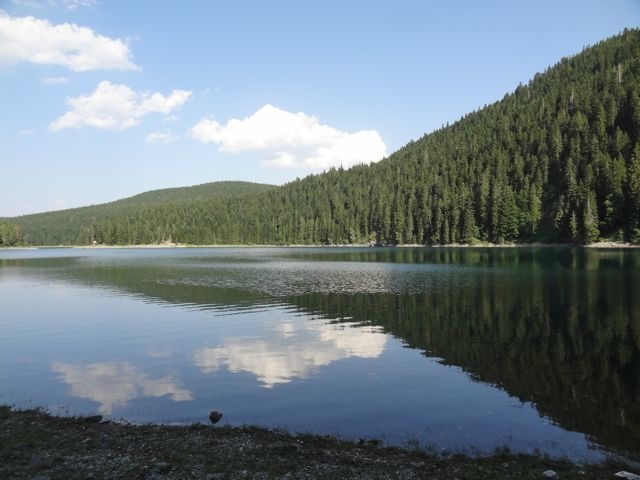 DSC07136