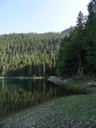 DSC07137