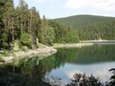 DSC07140