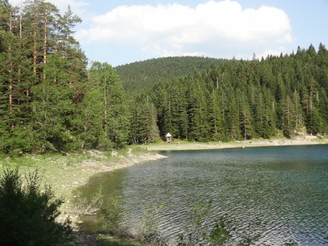 DSC07141