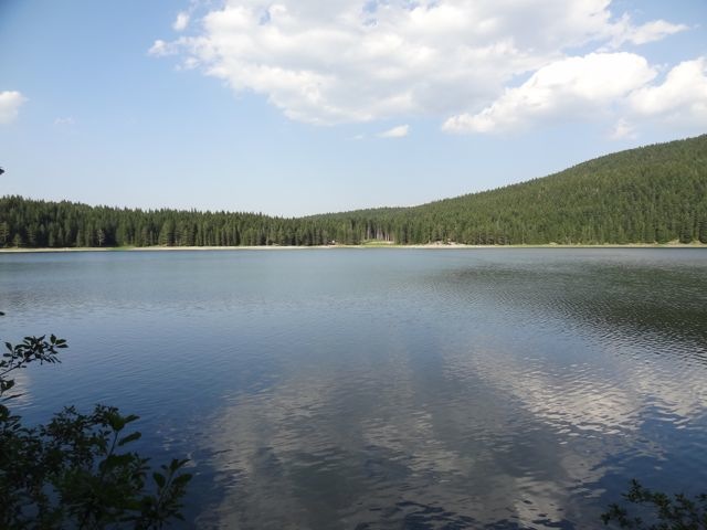 DSC07142
