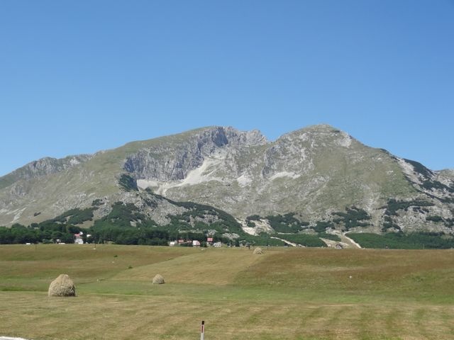 DSC07163