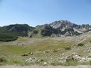 DSC07165