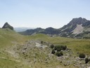 DSC07167