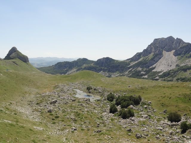 DSC07167