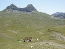 DSC07174