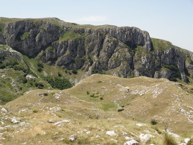 DSC07178