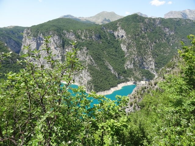 DSC07186