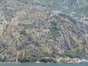DSC07229