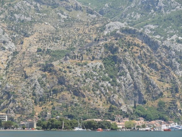 DSC07229