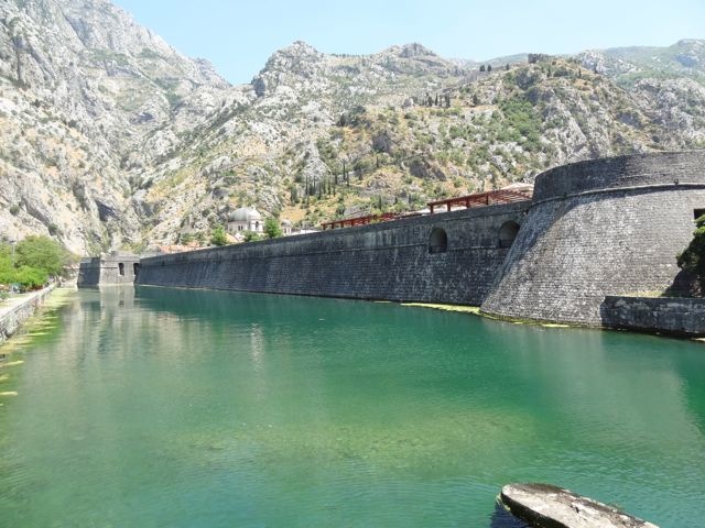 DSC07230