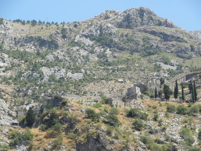 DSC07231