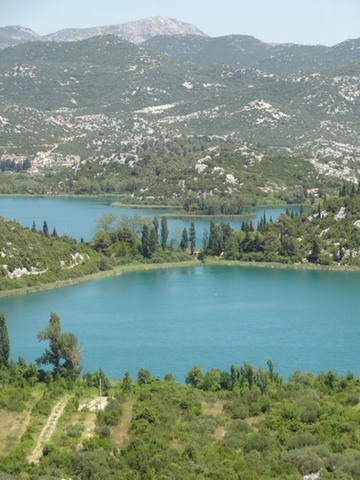 DSC07365