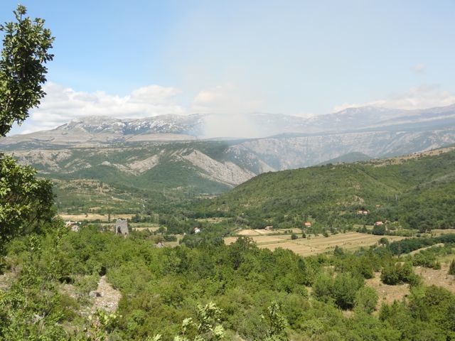 DSC07443