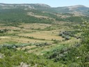 DSC07445