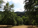 DSC07451