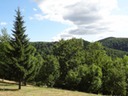 DSC07452