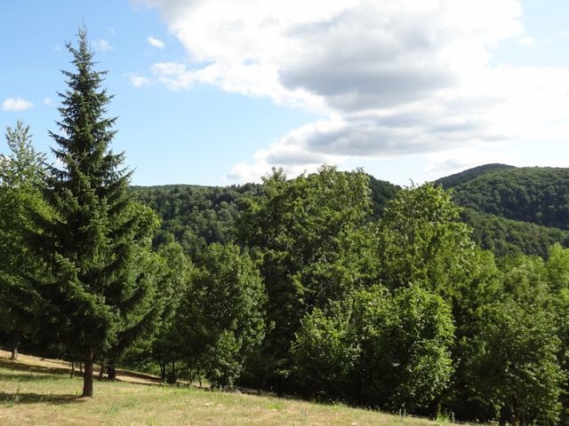 DSC07452