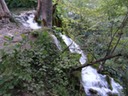 DSC07453