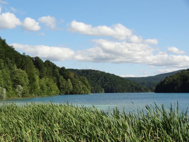 DSC07457