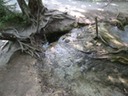 DSC07464