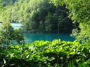 DSC07465