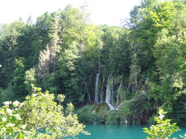 DSC07471