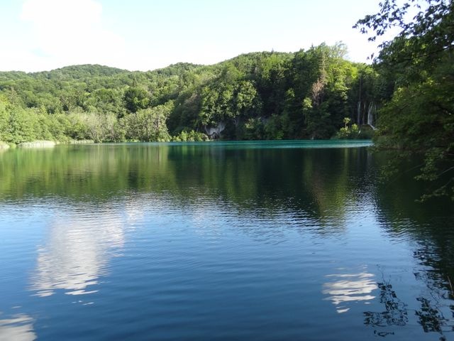 DSC07474