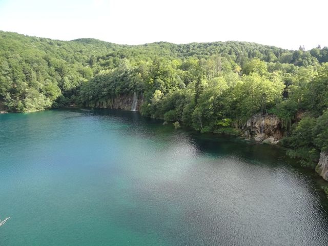 DSC07484