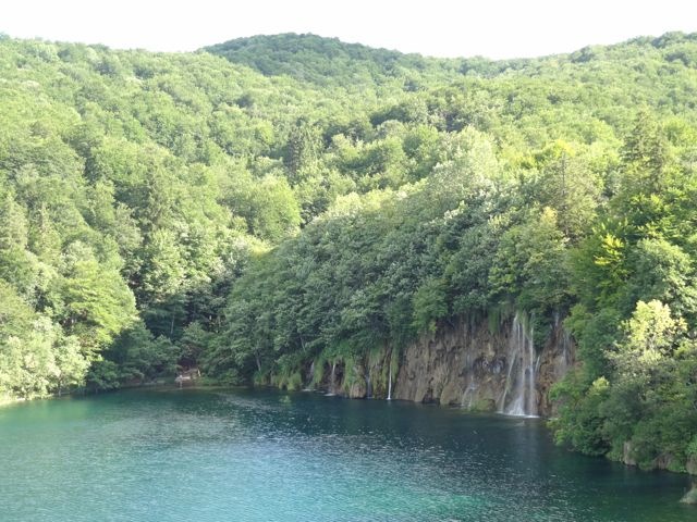 DSC07485