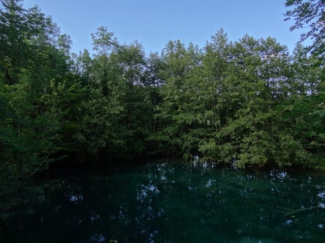 DSC07493