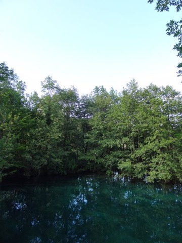 DSC07494