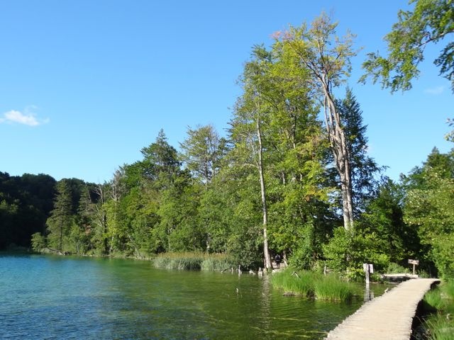 DSC07500