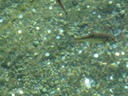 DSC07502