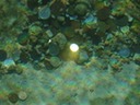 DSC07504