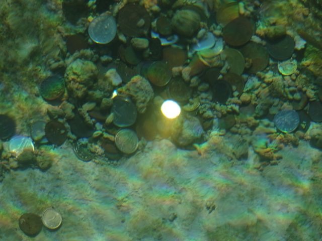 DSC07504