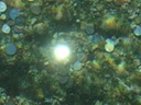 DSC07506
