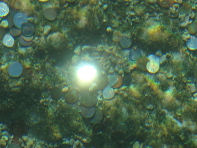 DSC07506