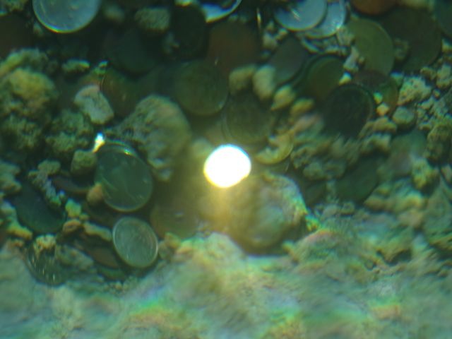 DSC07512