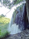 DSC07513